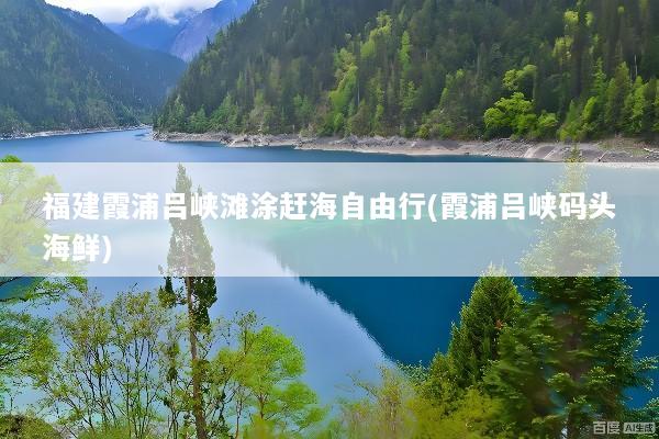 福建霞浦吕峡滩涂赶海自由行(霞浦吕峡码头海鲜)