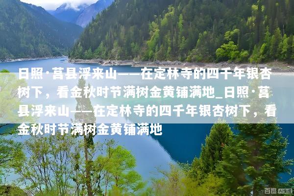 日照·莒县浮来山——在定林寺的四千年银杏树下，看金秋时节满树金黄铺满地_日照·莒县浮来山——在定林寺的四千年银杏树下，看金秋时节满树金黄铺满地