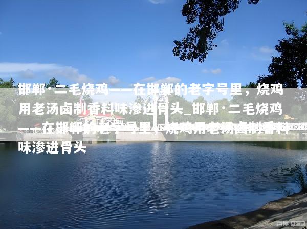 邯郸·二毛烧鸡——在邯郸的老字号里，烧鸡用老汤卤制香料味渗进骨头_邯郸·二毛烧鸡——在邯郸的老字号里，烧鸡用老汤卤制香料味渗进骨头