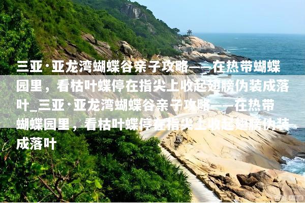 三亚·亚龙湾蝴蝶谷亲子攻略——在热带蝴蝶园里，看枯叶蝶停在指尖上收起翅膀伪装成落叶_三亚·亚龙湾蝴蝶谷亲子攻略——在热带蝴蝶园里，看枯叶蝶停在指尖上收起翅膀伪装成落叶