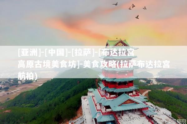 [亚洲]-[中国]-[拉萨]-[布达拉宫高原古境美食坊]-美食攻略(拉萨布达拉宫航拍)